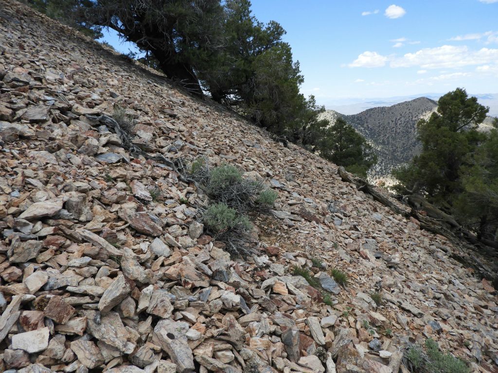 Perhaps the hardest part of the entire summit route is dealing with the loose scree section.  This true perspective angle provides a glimpse of the challenge: