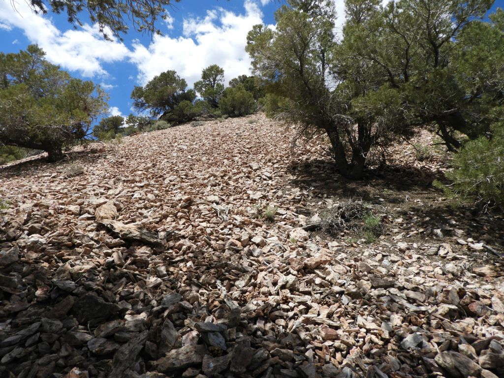 There were sections of scree which could not be avoided but had to be climbed straight through: