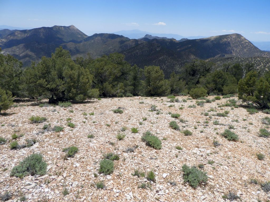 The most spectacular view from the summit is looking south toward three of the most major peaks found in the Grapevine Mountains: