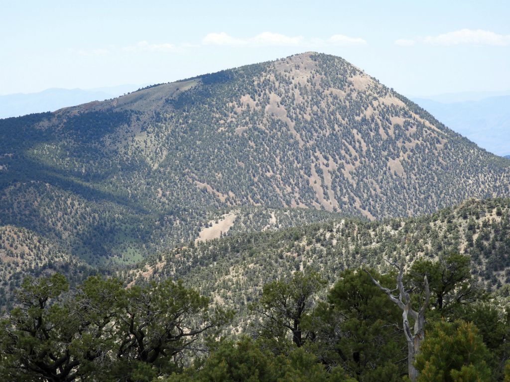 Grapevine Peak at 8,738 feet in elevation is the third of the three nearby major summits visible: