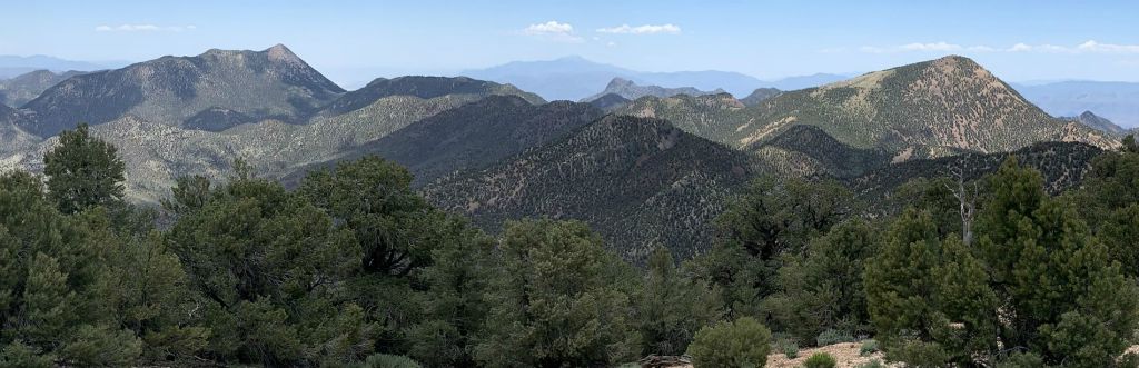 Summit panoramic view looking to the south at Wahguyhe Peak, Mount Palmer, and Grapevine Peak: