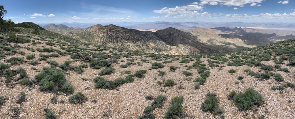 Summit panoramic view looking to the north from Coyote BM: