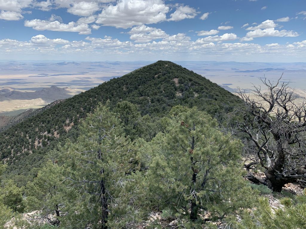 This is the stunning view looking back toward Coyote BM from 8572T: