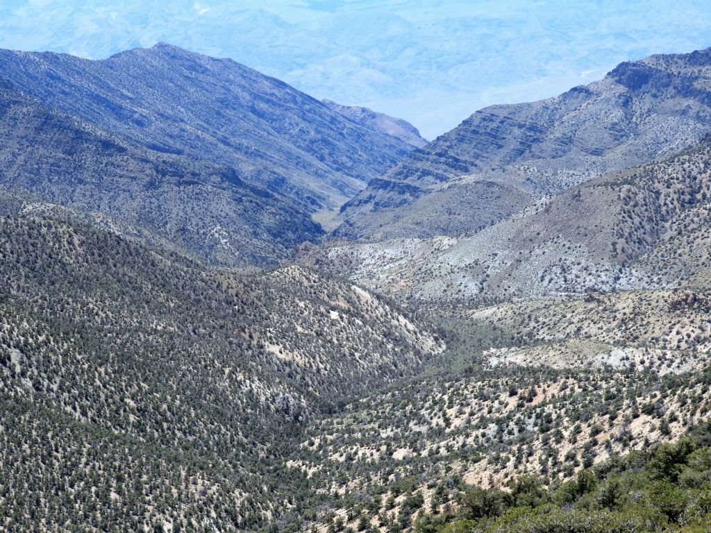 View down into Backthrust Canyon from 8572T.  While Backthrust Canyon is not named on official park maps, it is named on geology maps: