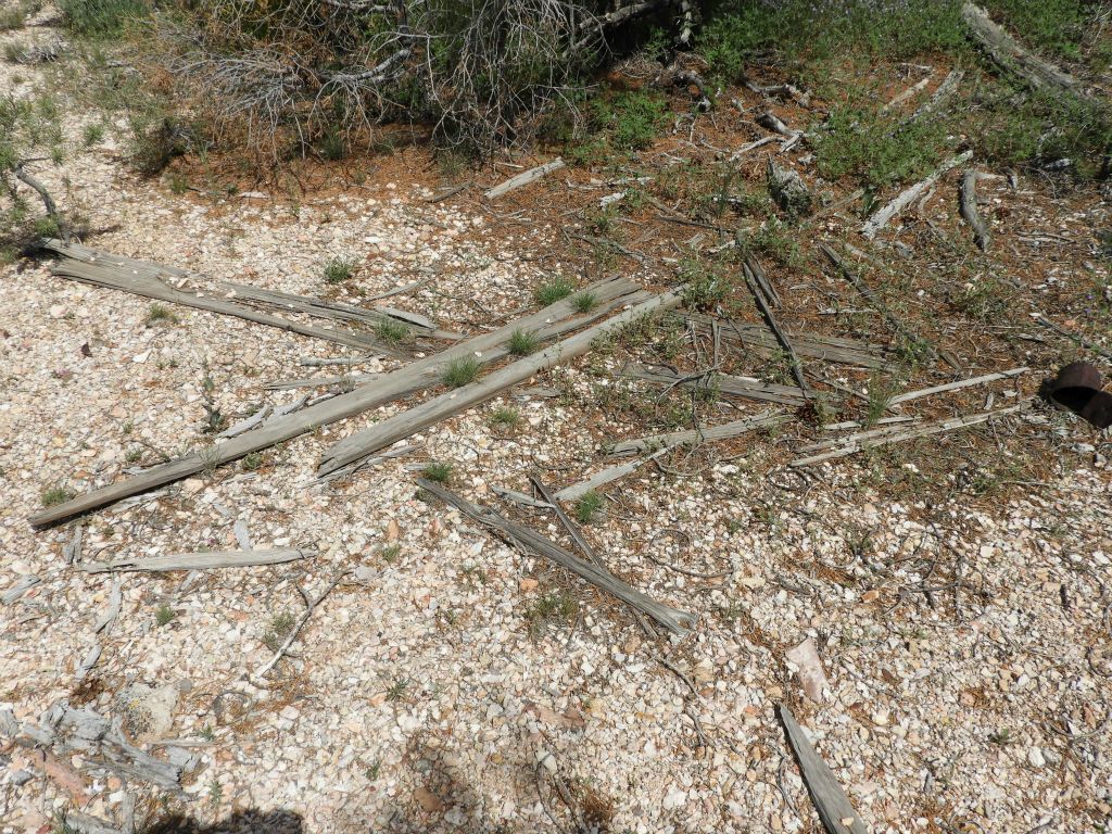 Quite a few wood pieces were scattered around the small mining camp.  It made me wonder if there were some temporary living quarters built here at one time: