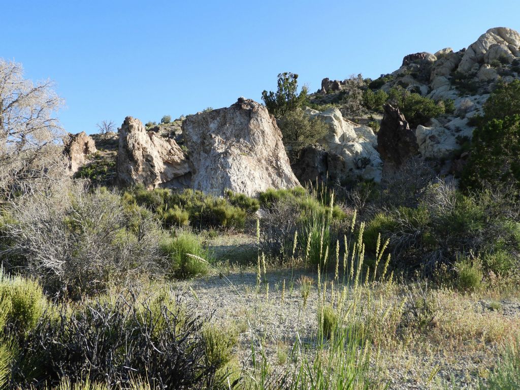 Now I was hiking in the correct wash which would eventually lead to the Coyote BM ridgeline: