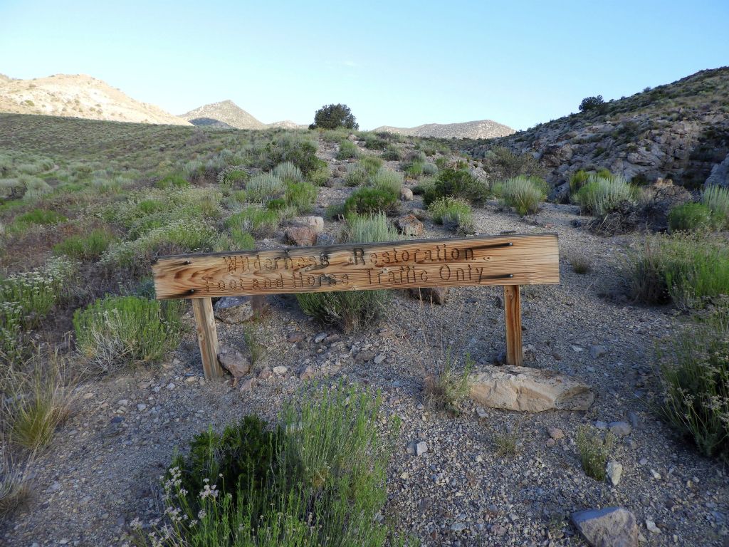 The hike begins at this Wilderness Restoration sign, which is nearly 1,000 feet in elevation lower than the campground location: