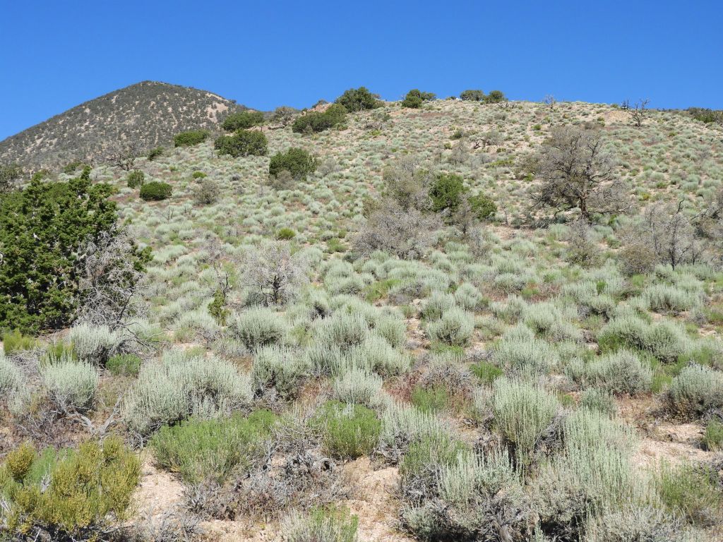 The ridge ascent started out with some fairly gentle climbs early on: