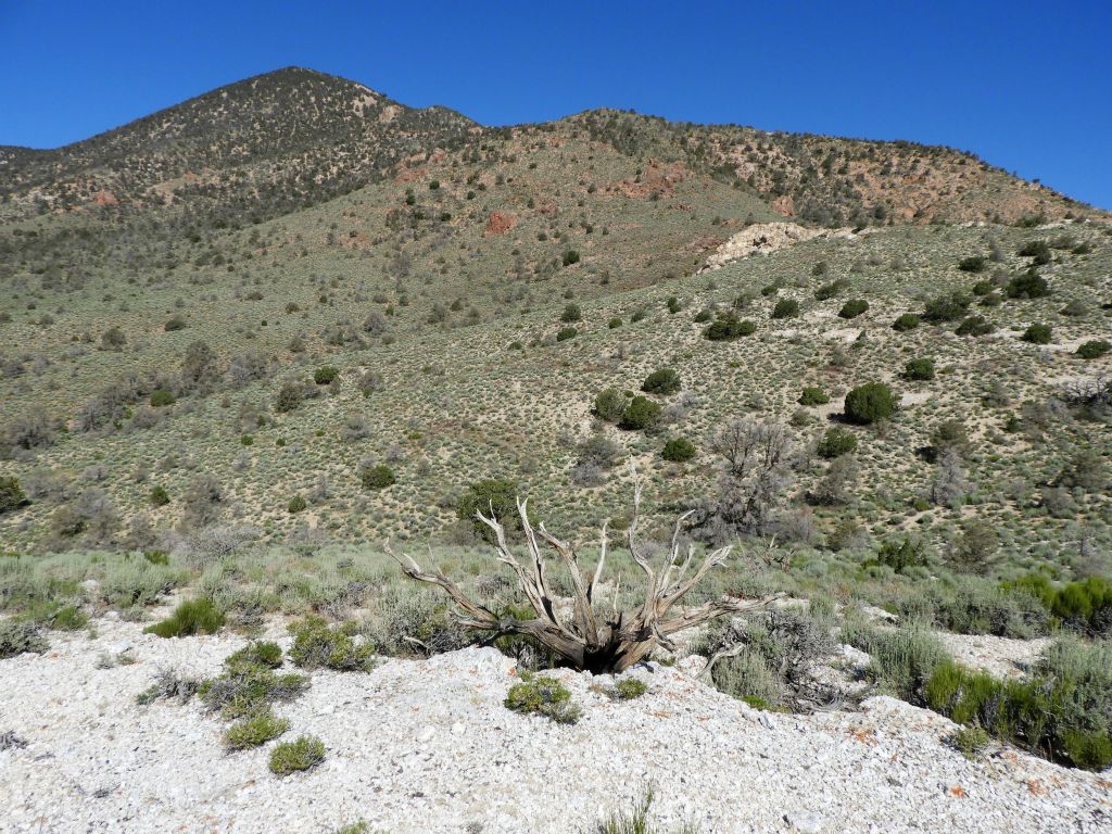 Arriving at the spot marked on the topo map as 6717, which provides for the first great views all the way around: