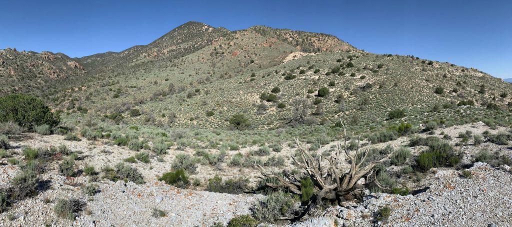 Panoramic looking at the ridgeline climb ahead from topo point 6717: