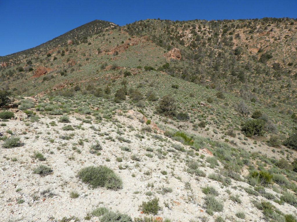 The view ahead after climbing up to the next small bump: