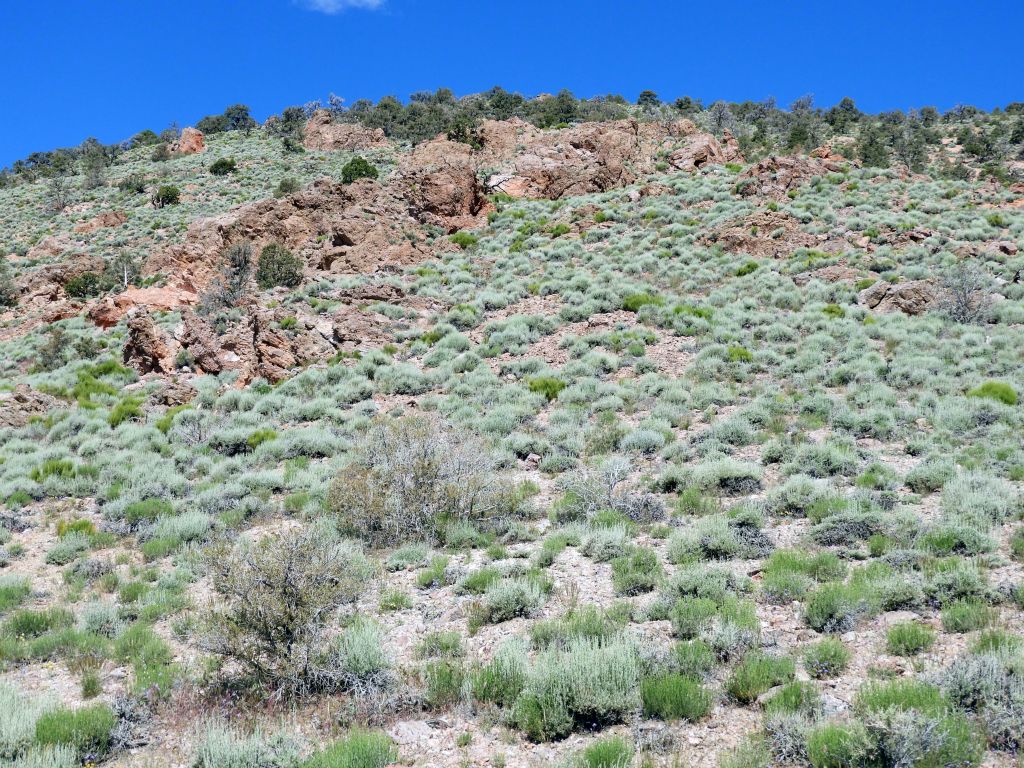 Up ahead, there looked to be some rock outcroppings to navigate through or around: