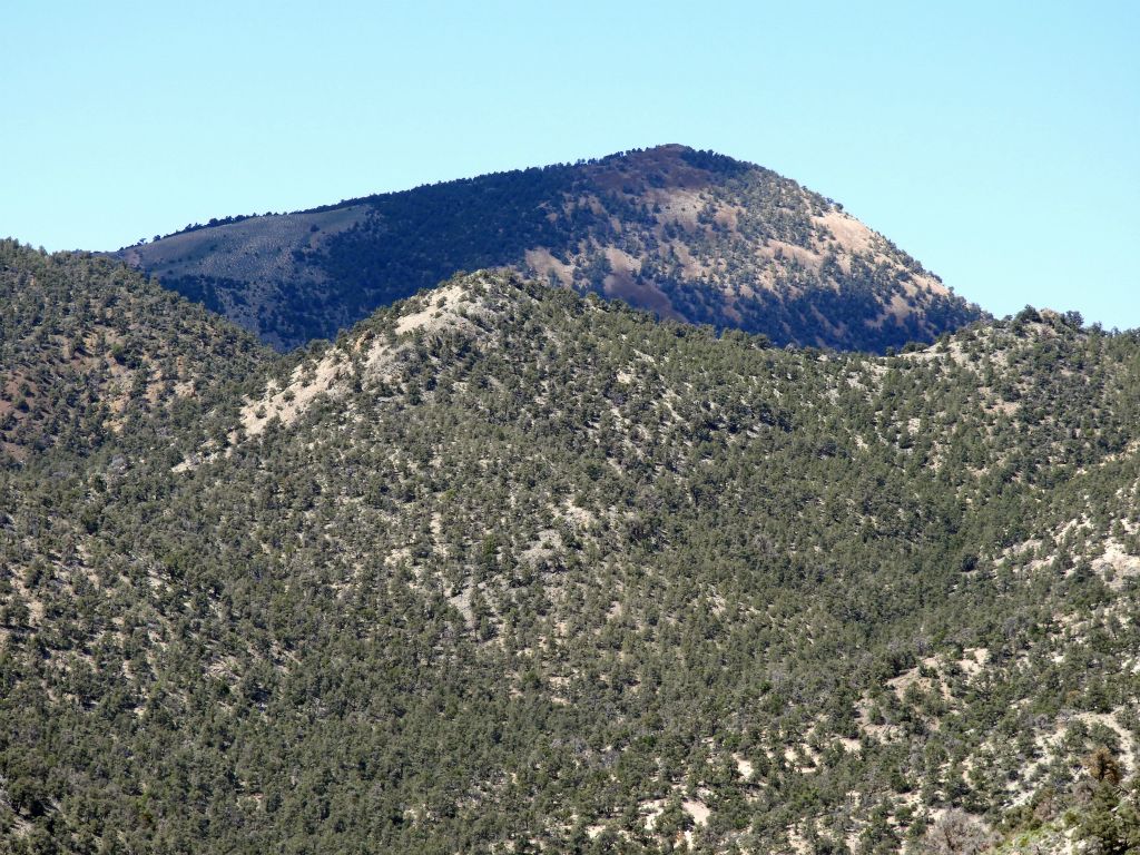 Grapevine Peak looked quite dramatic as viewed from this spot while climbing the Coyote BM ridge: