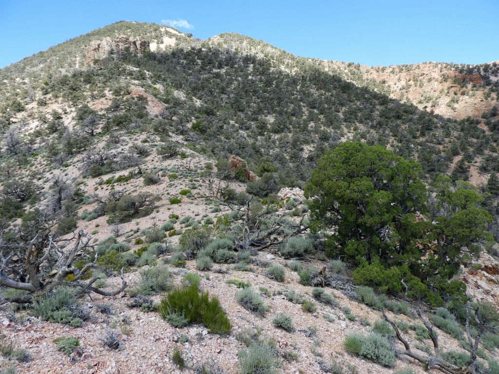 Looking ahead on the ridge, there appeared to just be a couple of major bumps left before reaching the summit: