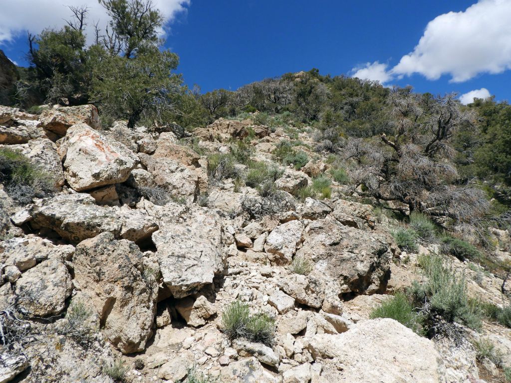 Staying to the right while passing through boulders which have broken off the rock crags.  The next objective was the high point seen ahead: