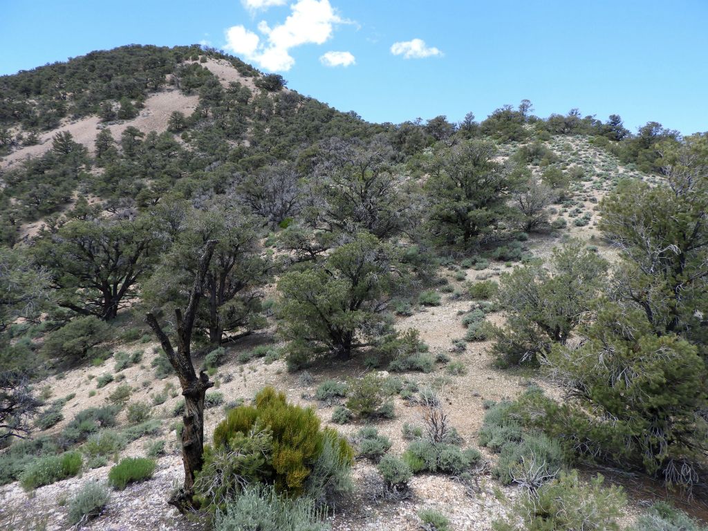 Up ahead is the last major bump before doing the final climb to the summit:
