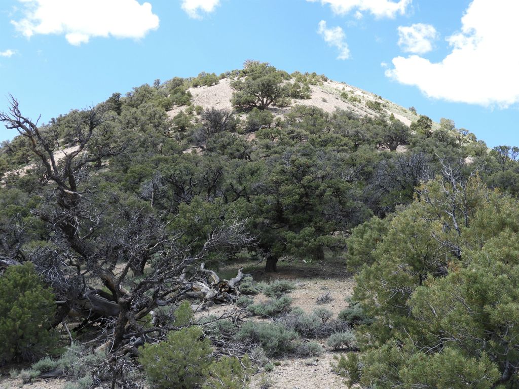 This shows the bottom portion of the final climb, although it is longer and more challenging than it looks: