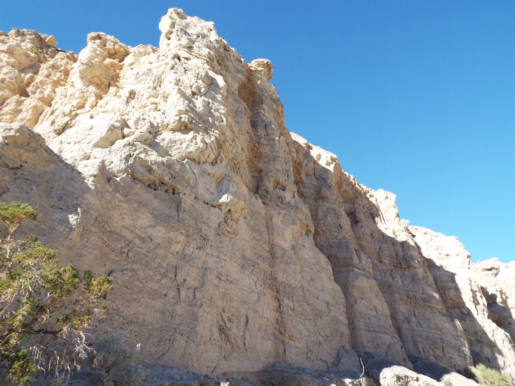 The dominant feature when a hiker first walks into Cresent Bridge's Main Side Canyon is the white cliffs: