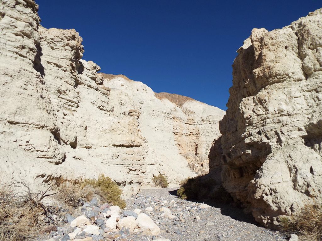 The canyon narrows down considerably while still enclosed by white cliffs: