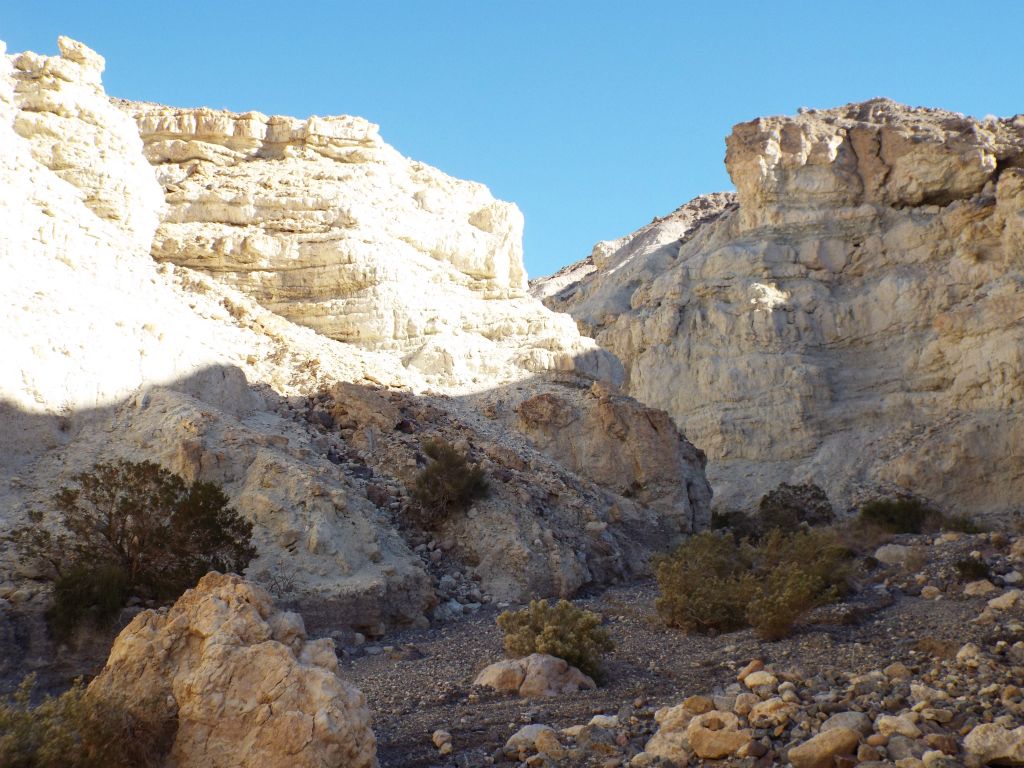The sunlight really brings out the white color of the canyon walls: