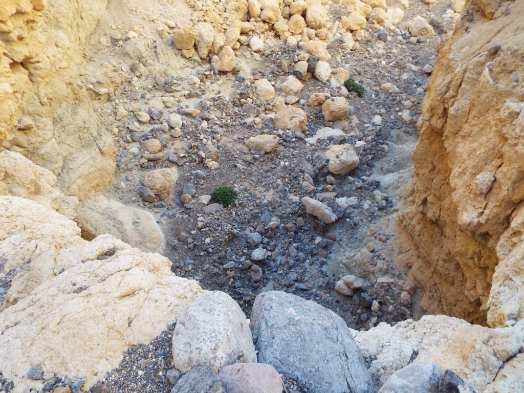 Looking down from the major dry fall at the wash below: