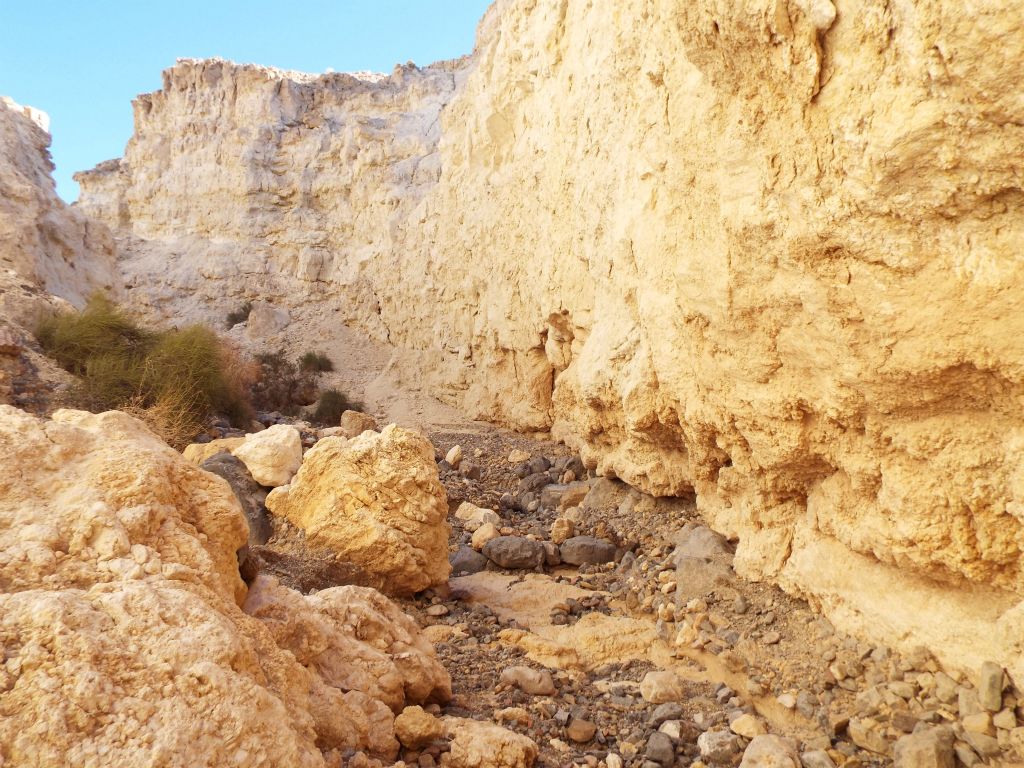 The walls were closer together and the wash was much narrower past the dry fall: