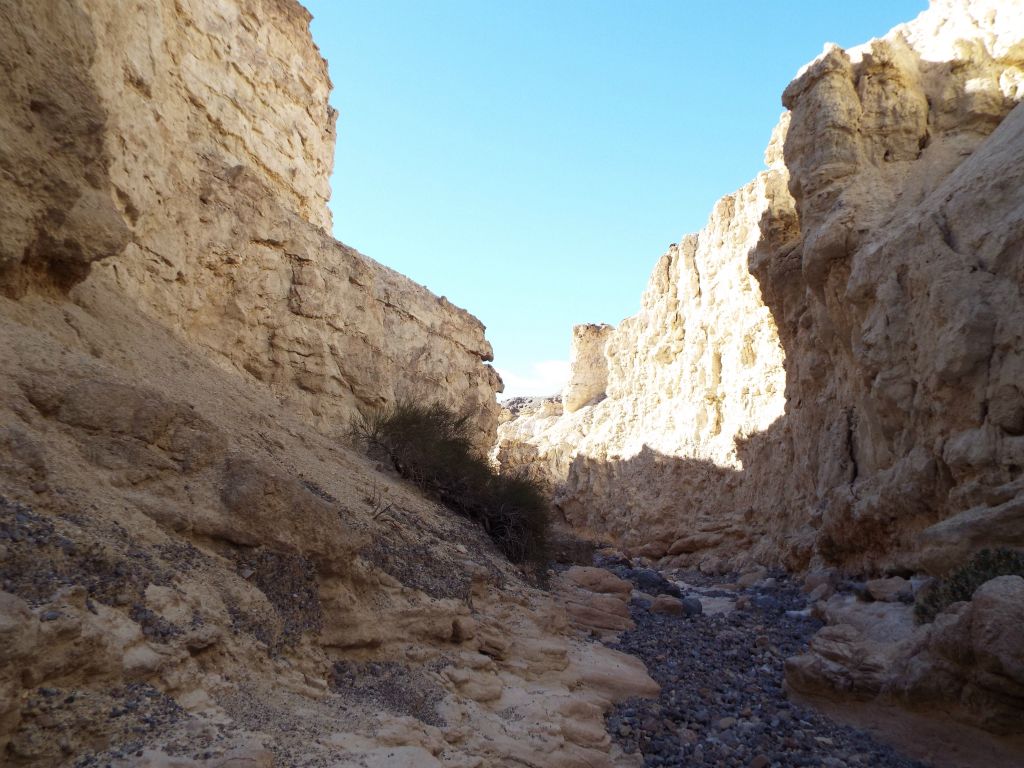 White cliffs continue to be the dominant feature throughout the lower canyon: