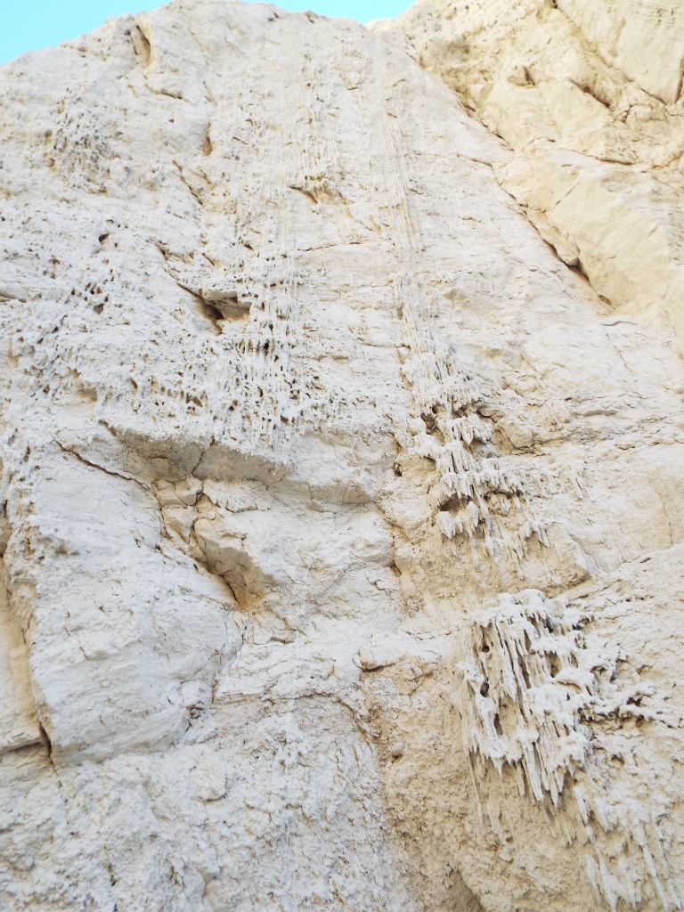 There were several beautiful panels of mud drip structures: