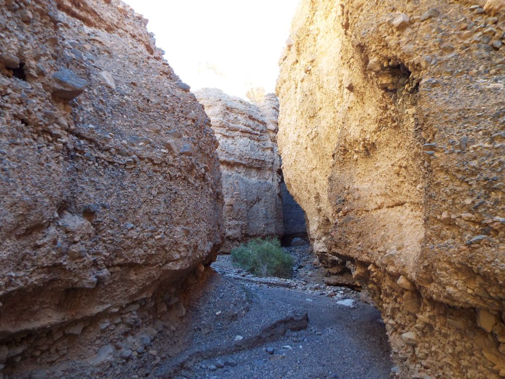 Note how the wash is undercutting the canyon wall on the right side: