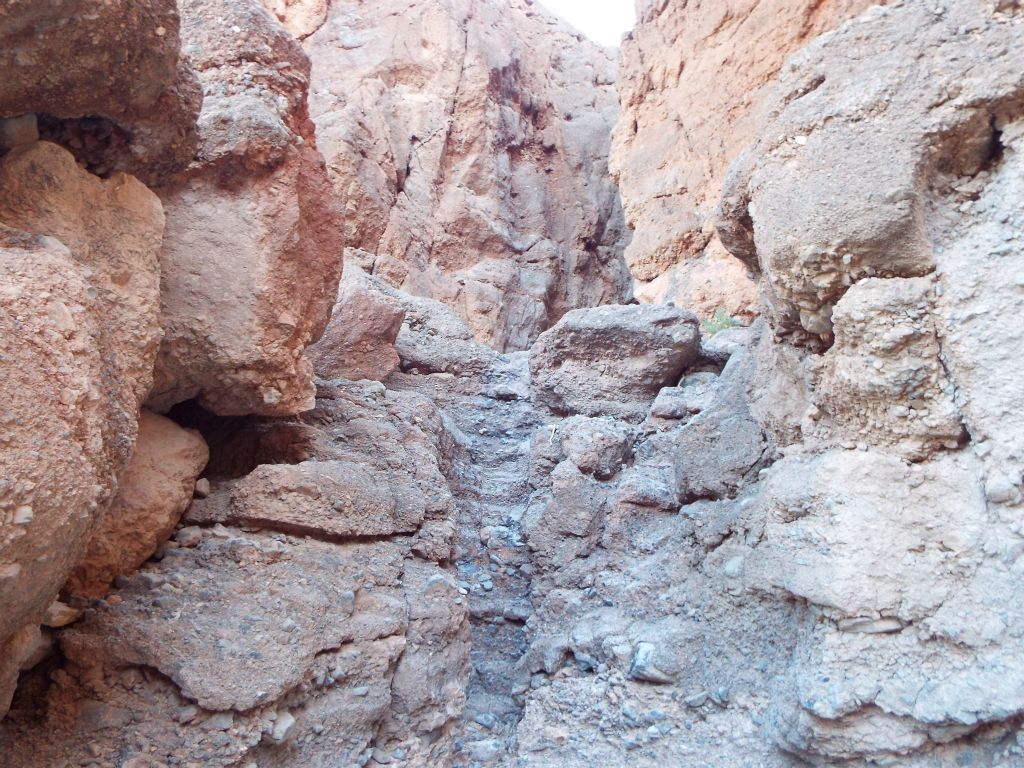 The scenery through here was quite beautiful to be immersed in: