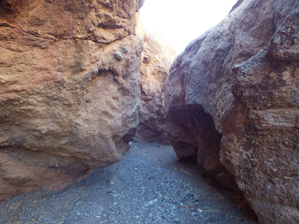 It was a good thing that direct sunlight was not saturating the shallow narrows, which would have ruined picture taking: