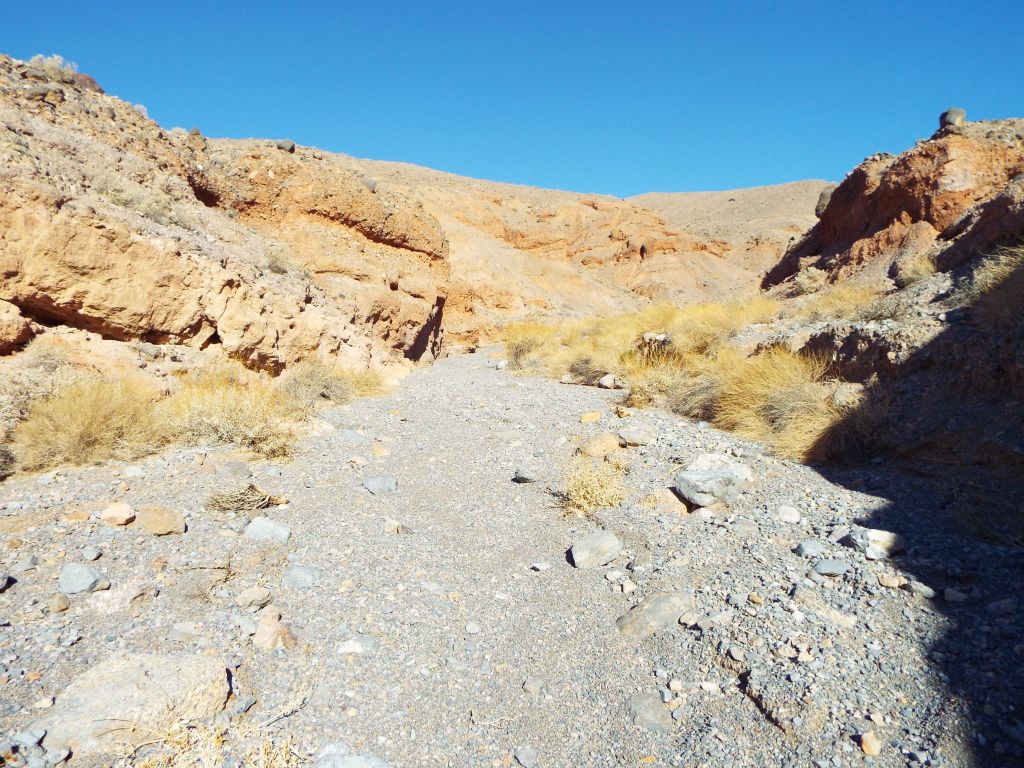 Beyond the shallow narrows of the Upper Gallery, the canyon opened up into less interesting terrain: