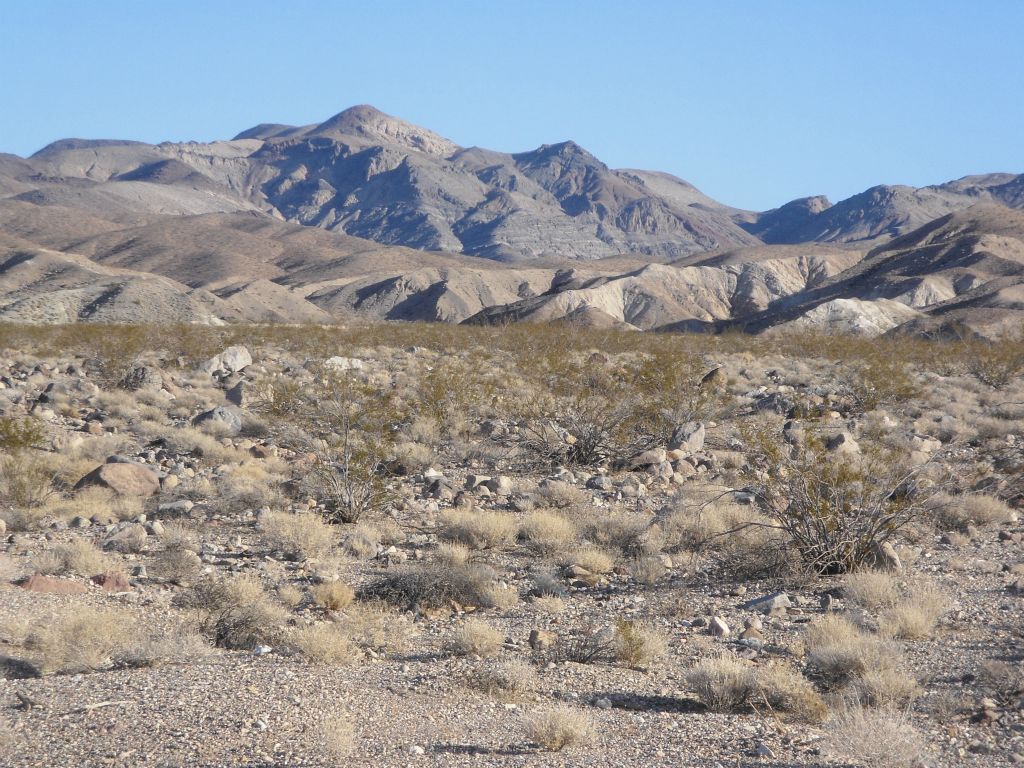 To get to Grey Wall Canyon, you need to follow the wash up toward the rounded peak in the left center of the picture: