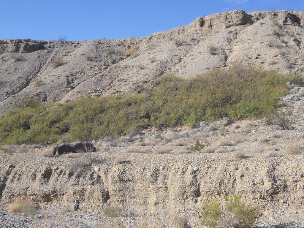 The 2nd spring is up above the wash on the left side and is passed by two miles into the hike (or one mile past the 1st spring):