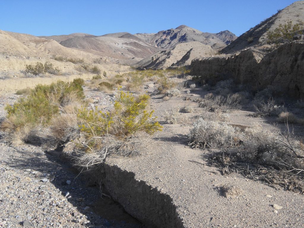 It's often easy to just step up onto the flat ground above the wash:
