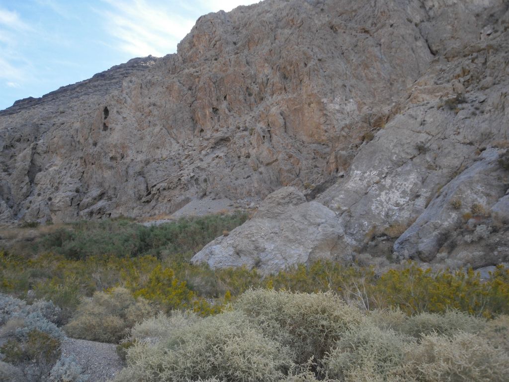 Notice the thick brush which has suddenly appeared in the canyon wash: