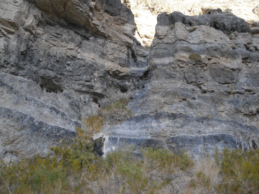 This is the other part of the 4th spring.  Here, there is a small seep that is flowing very slowly: