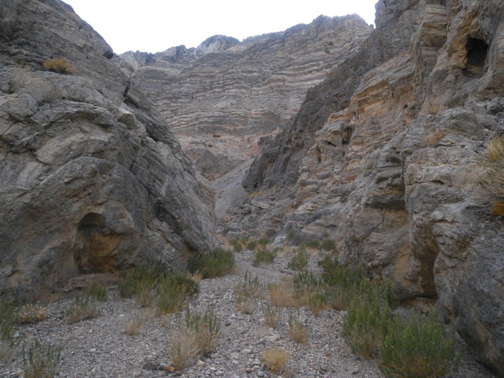 Past the 4th spring, it is now time to enter into the narrows of Grey Wall Canyon: