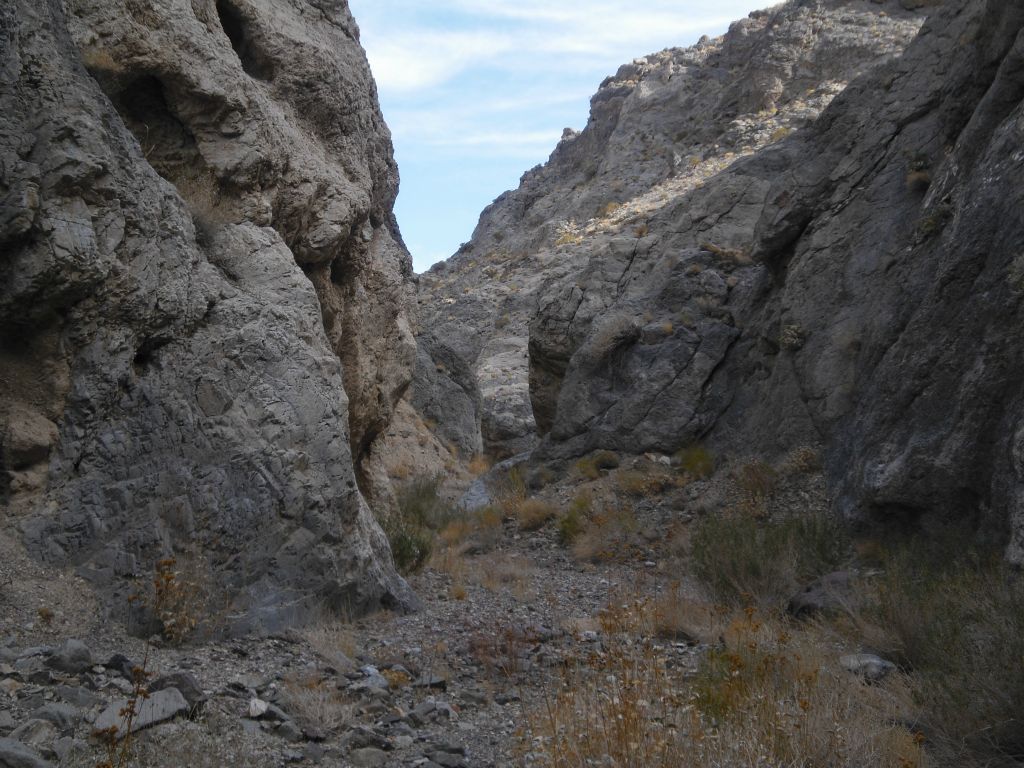A nice view looking through a long straight section in the upper narrows: