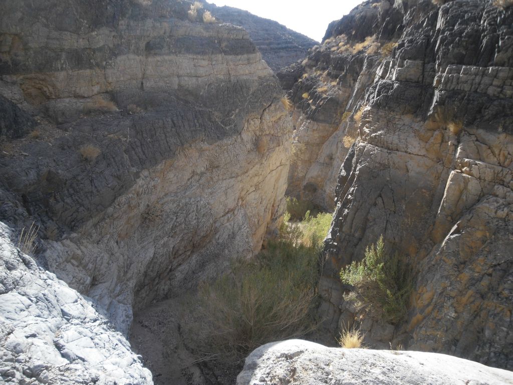 The sometimes slightly thick brush and the minor climb seen here were the only real obstacles in the canyon: