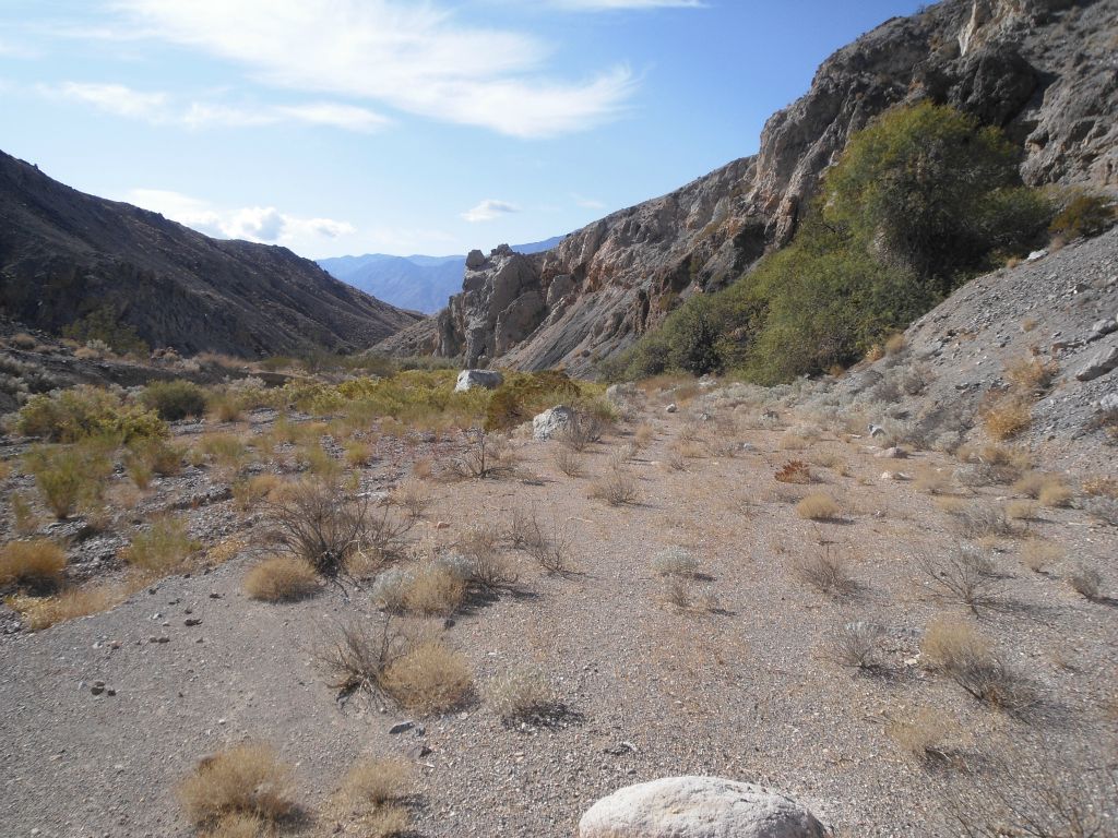 Approaching the large trees and bushes of the 4th spring: