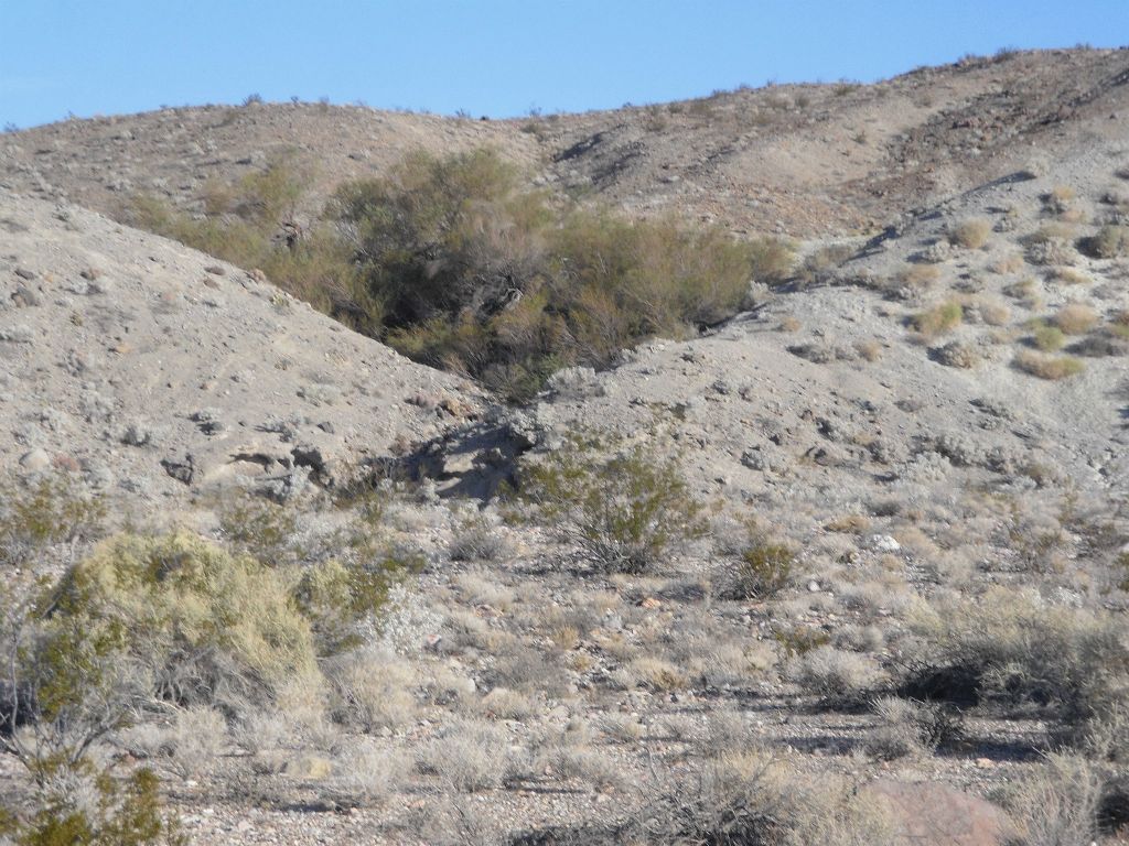 A short distance up the Grey Wall wash about one mile into the hike, the 1st spring is passed by on your left side: