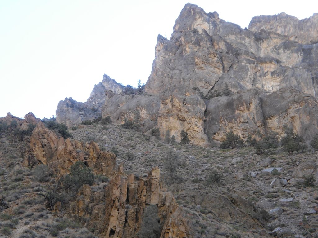 Lots of trees now growing all over the mountain: