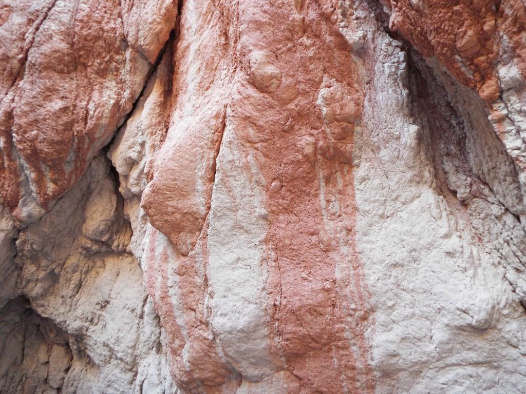 A close-up showcasing some of the red patterns which impressed us: