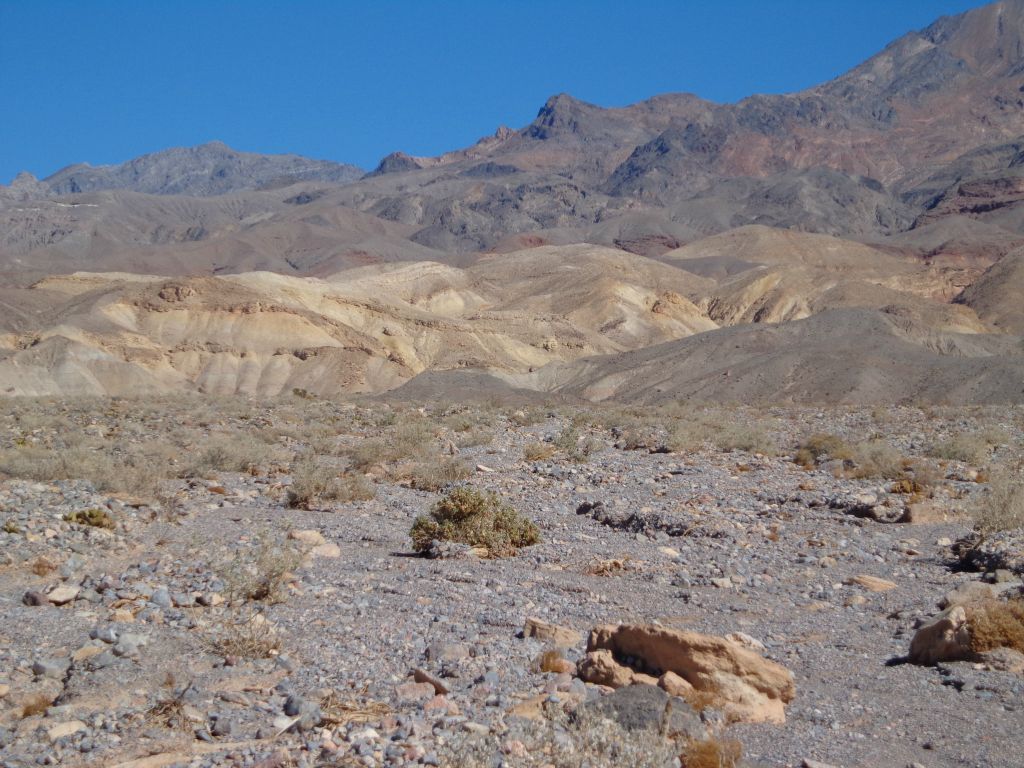 To reach Rock Nettle Canyon, we simply headed toward these light colored hills: