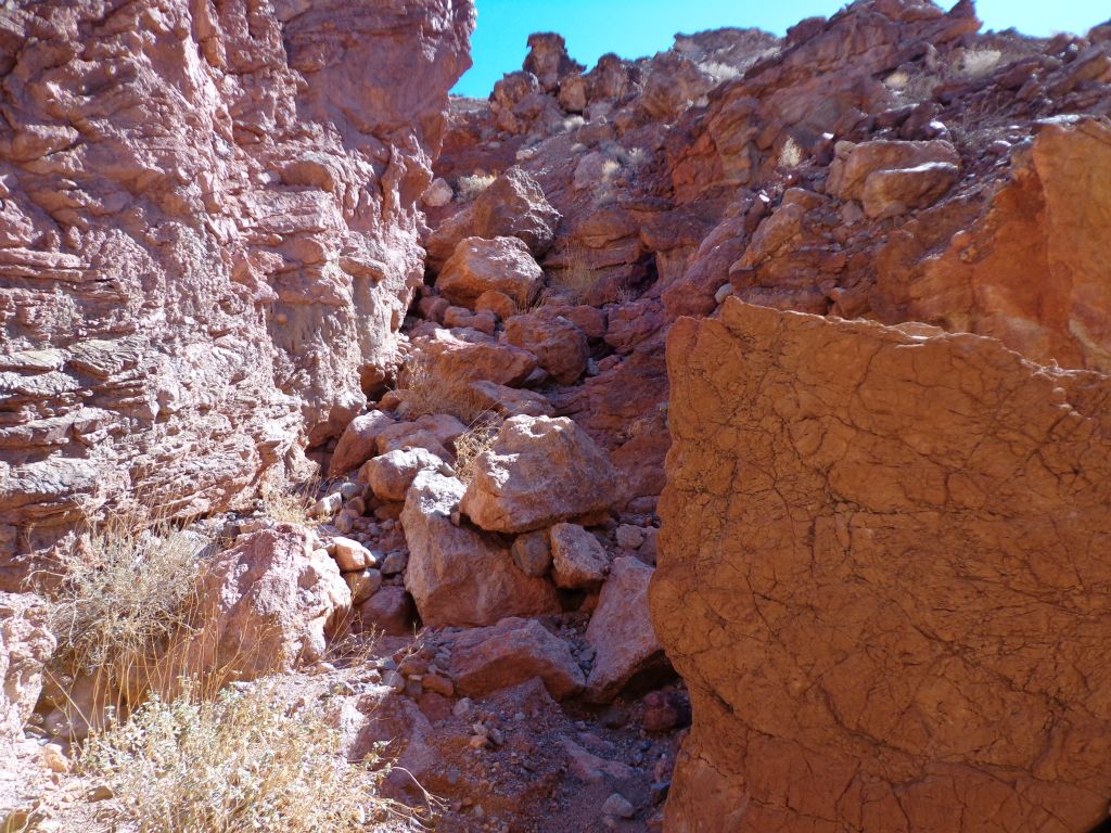So we backtracked down canyon a short distance and headed up this gully on the left side (which would be on the right side going up canyon):