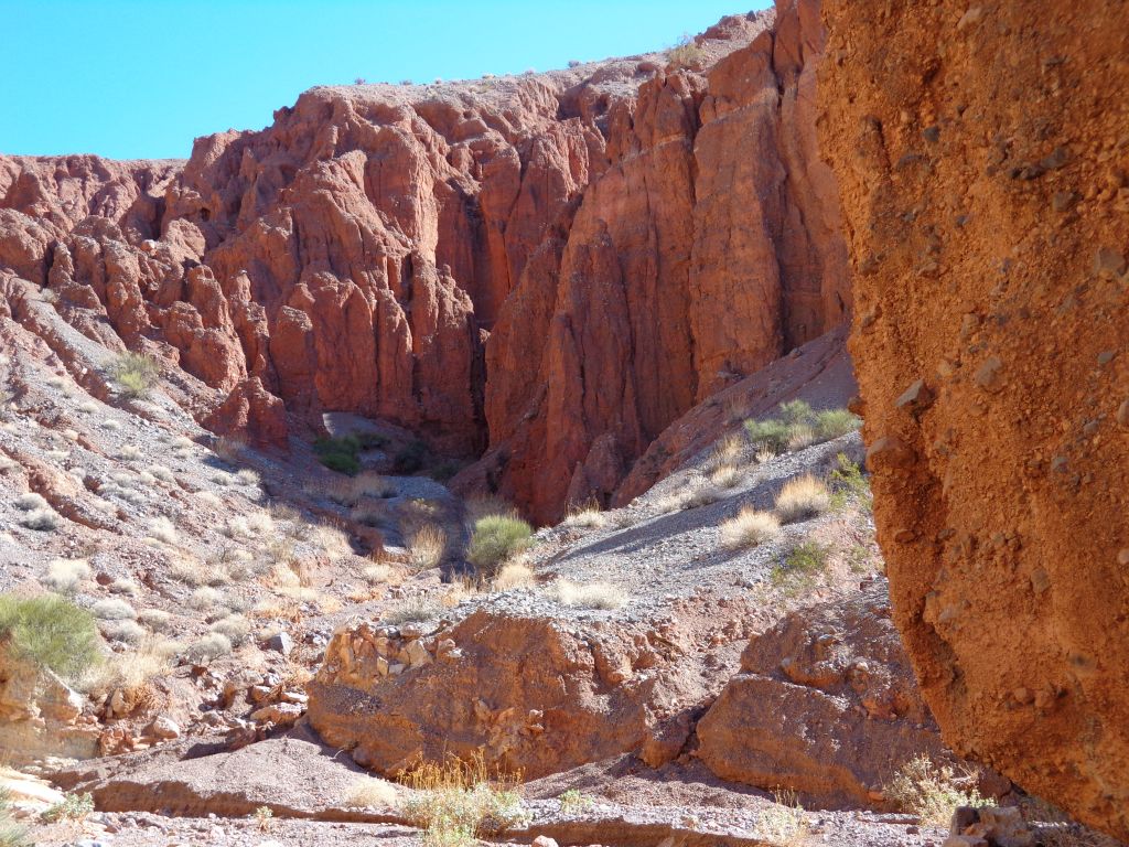 Off to the right, we spotted a small side canyon leading to some potential slots.  We would explore this on the way back:
