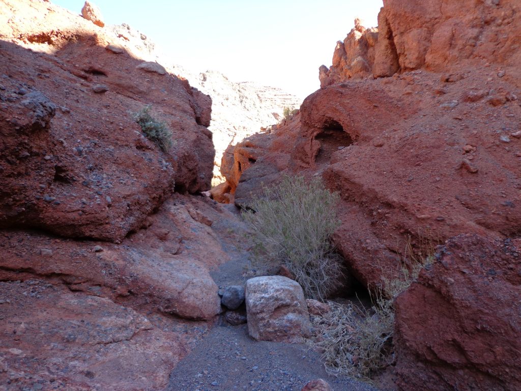 There are a few spots of shallow narrows between here and the end: