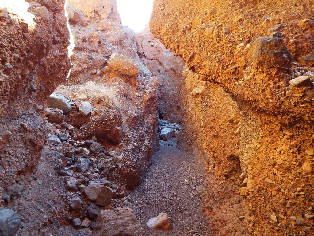 Sunlight would occasionally creep into the canyon in spots, creating a glow on the opposite side wall: