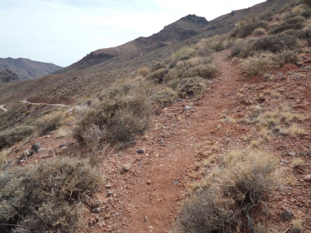 A clearly defined trail starts right from the beginning and continues virtually the whole way: